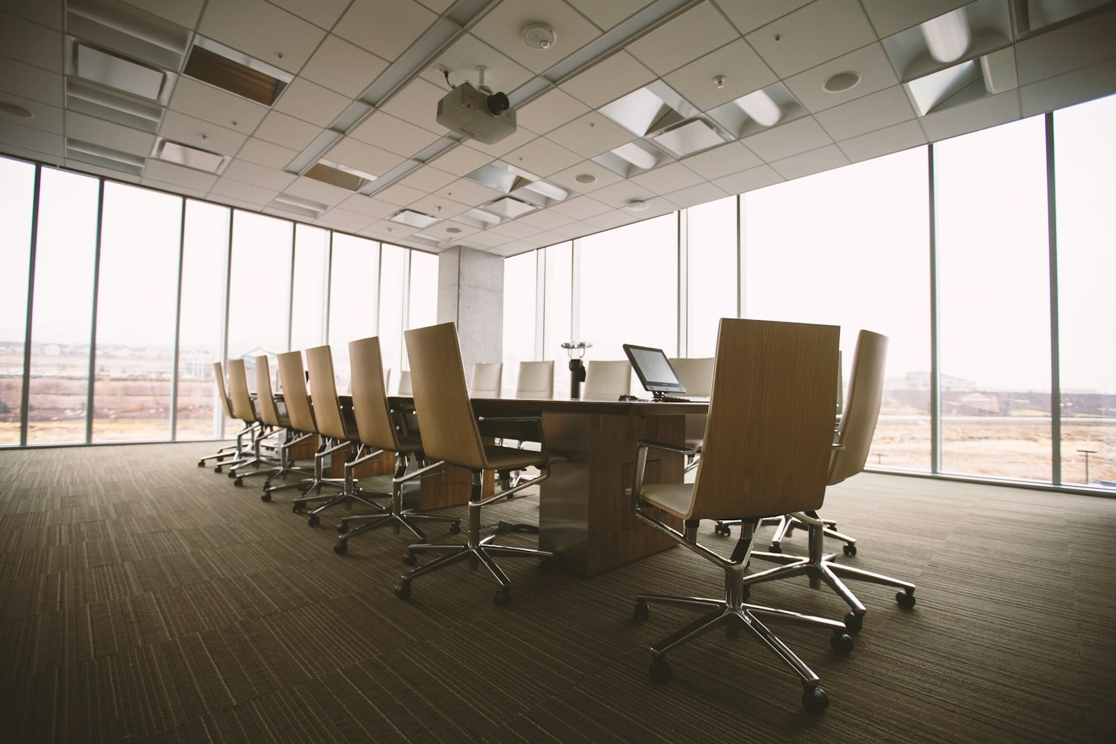 The boardroom at Optionventurebeam — long conference table, chairs and garden views
